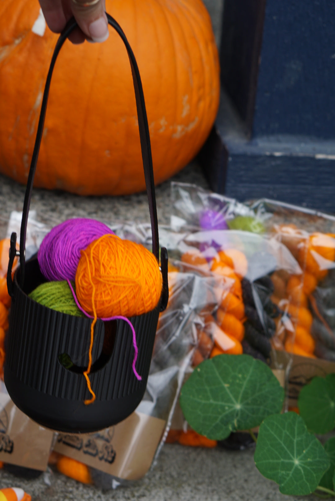 // Trick or Treat //