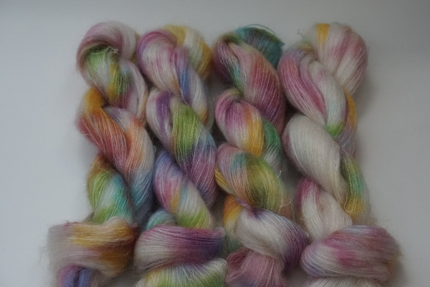 // Daydreamer // suri alpaca