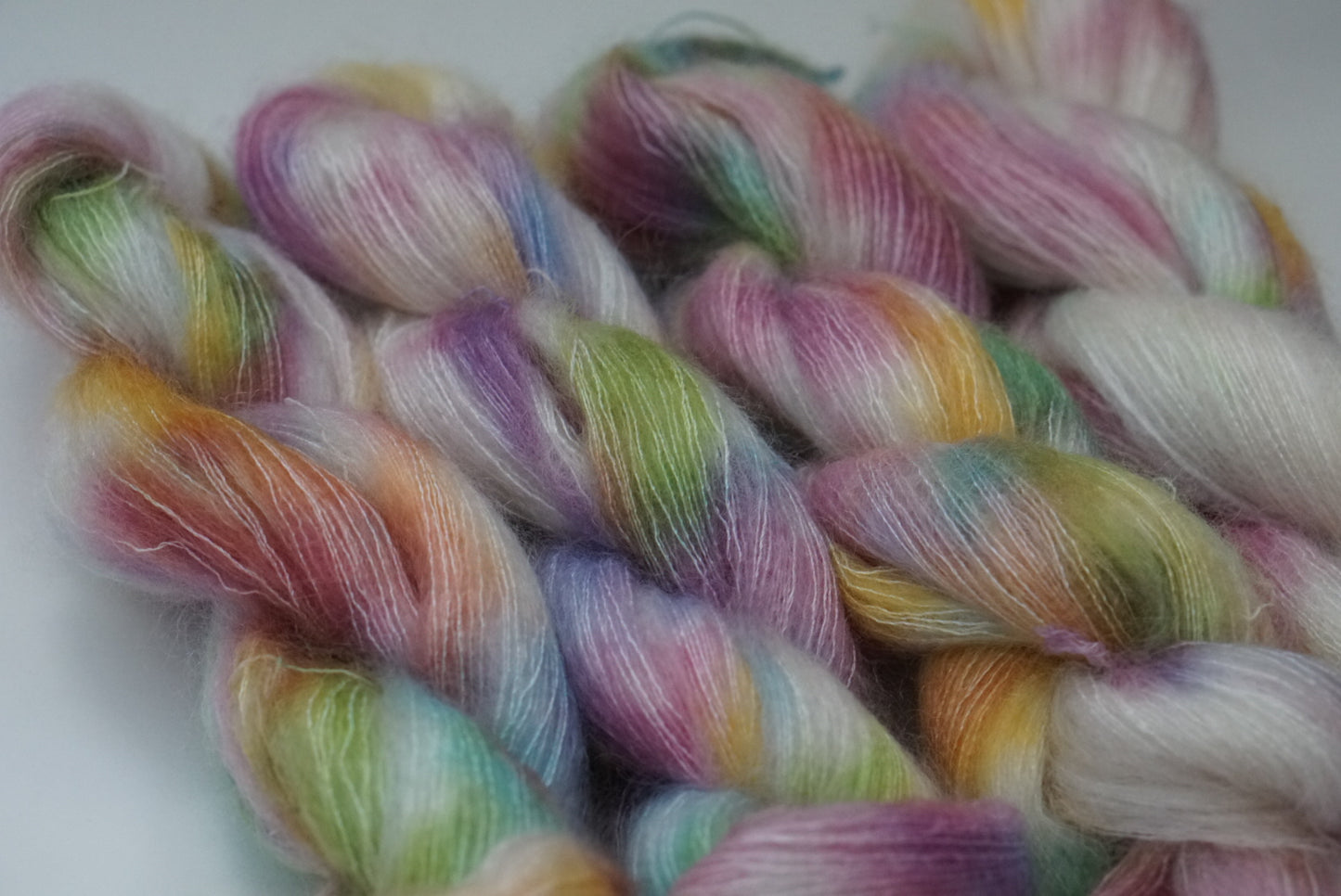// Daydreamer // suri alpaca