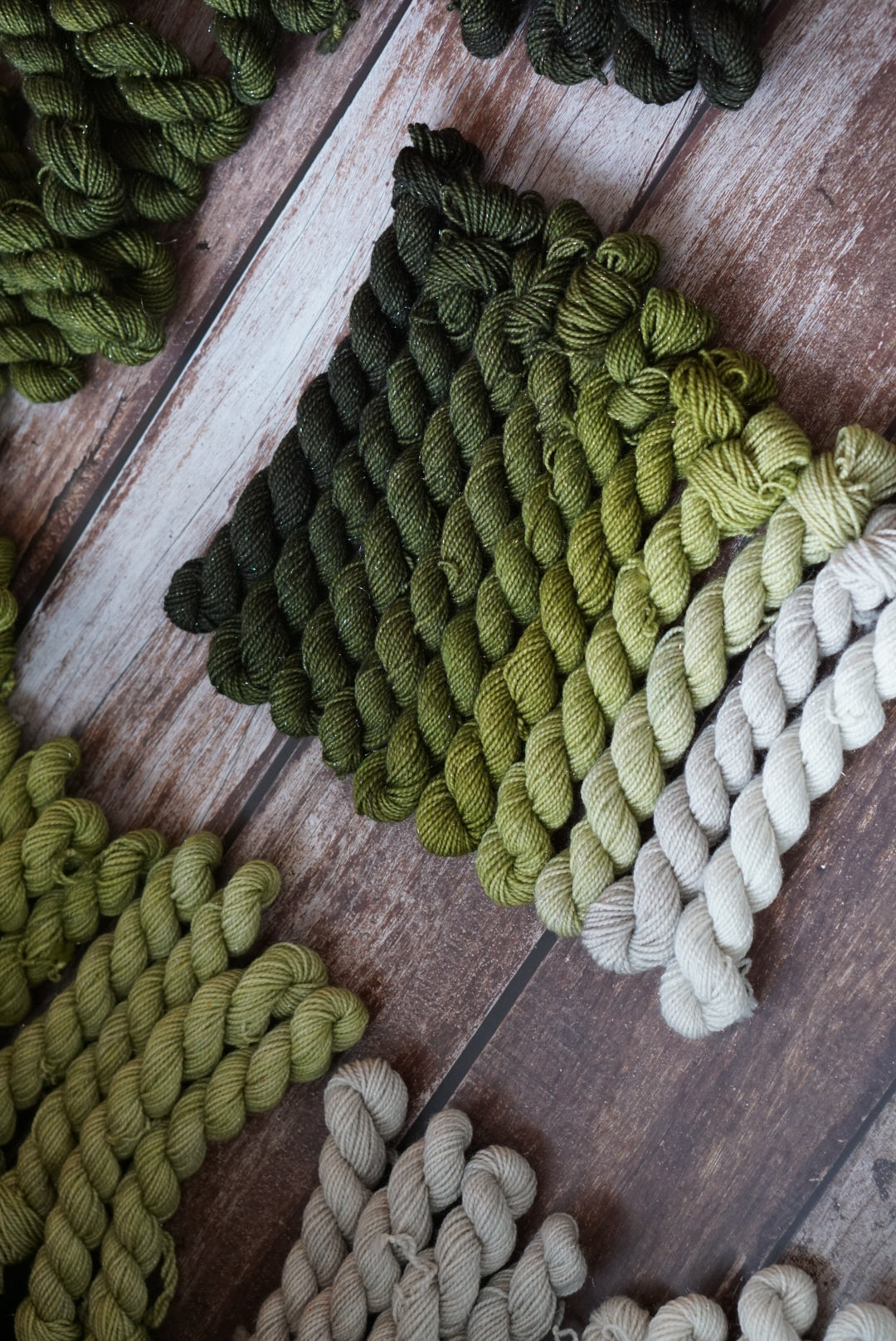 Hoa Hoa Hoa mini fade