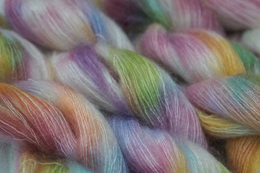 // Daydreamer // suri alpaca